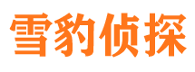 武江市婚姻出轨调查